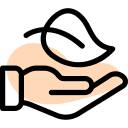 Ayurvedic Expertise